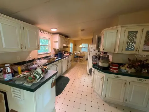 2011 Pinewood Lane Mount Dora FL 32757