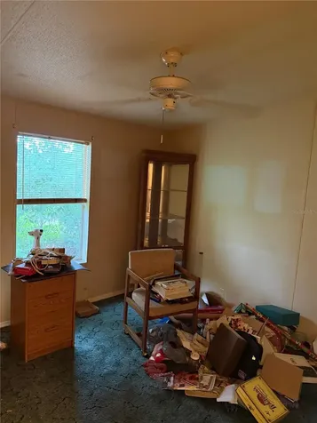 2011 Pinewood Lane Mount Dora FL 32757