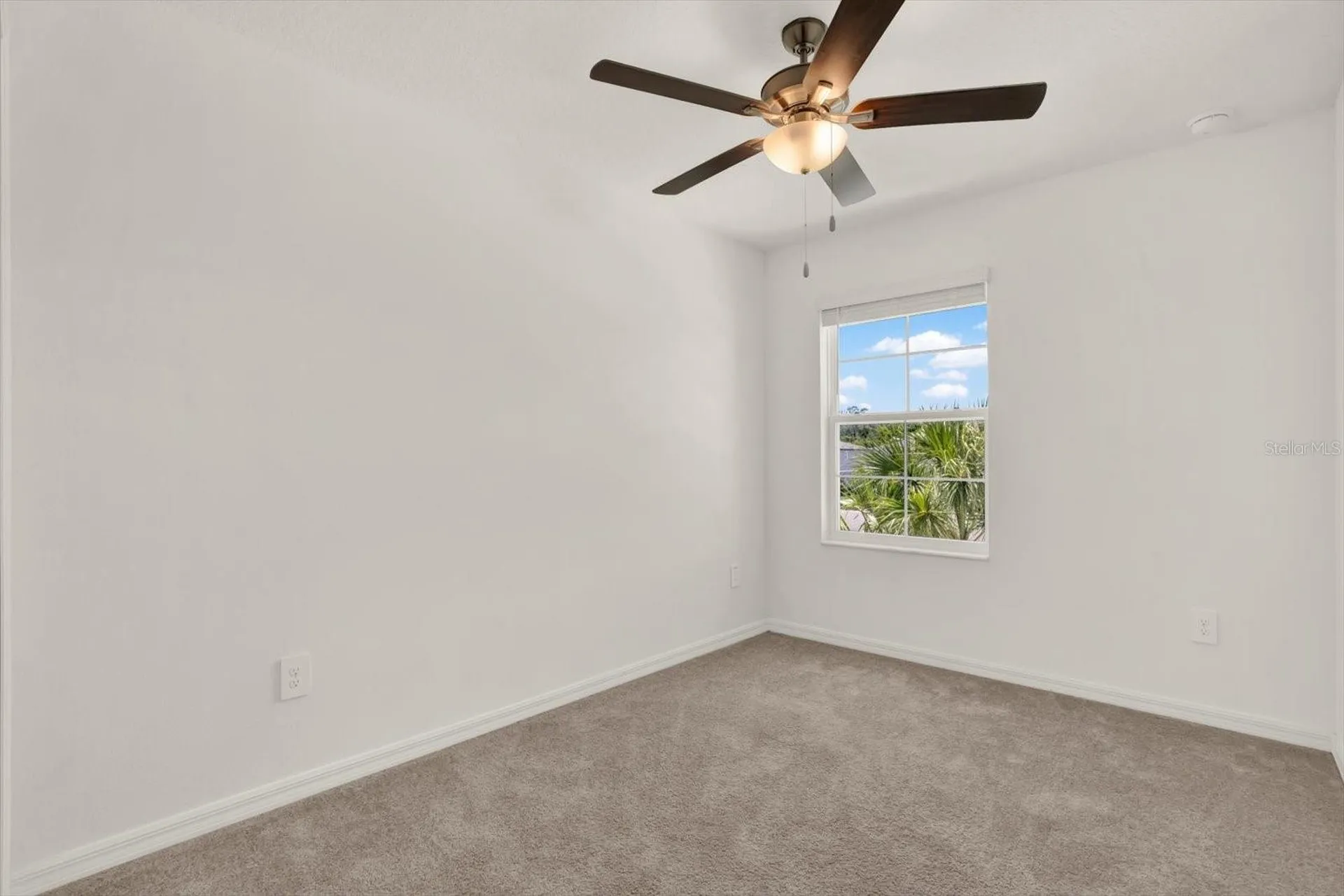 6144 Shiner Street Land O Lakes FL 34638