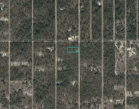 SE 130th Court Dunnellon FL 34431