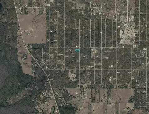 SE 130th Court Dunnellon FL 34431