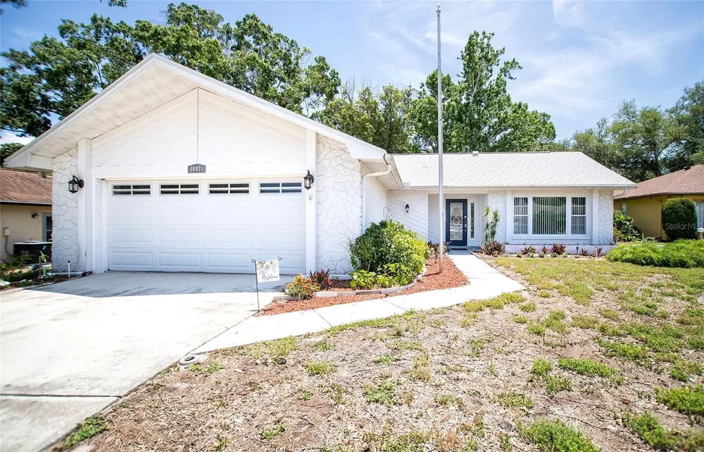1647 Bentley Court Palm Harbor FL 34684