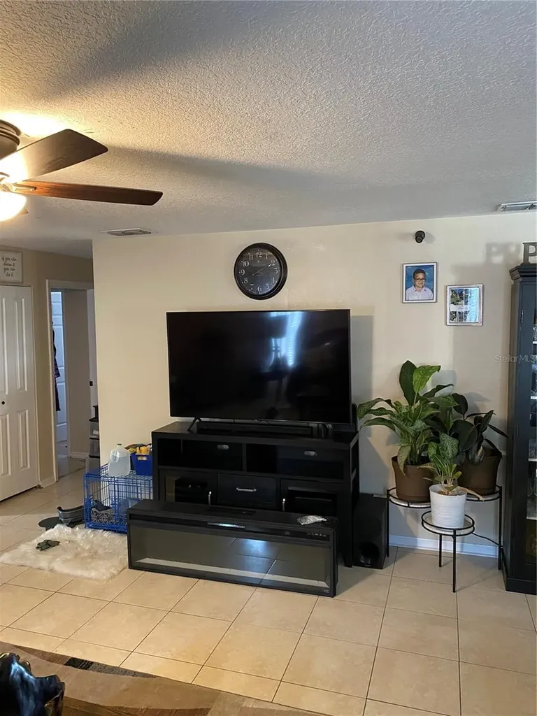10328 Summerview Circle Riverview FL 33578