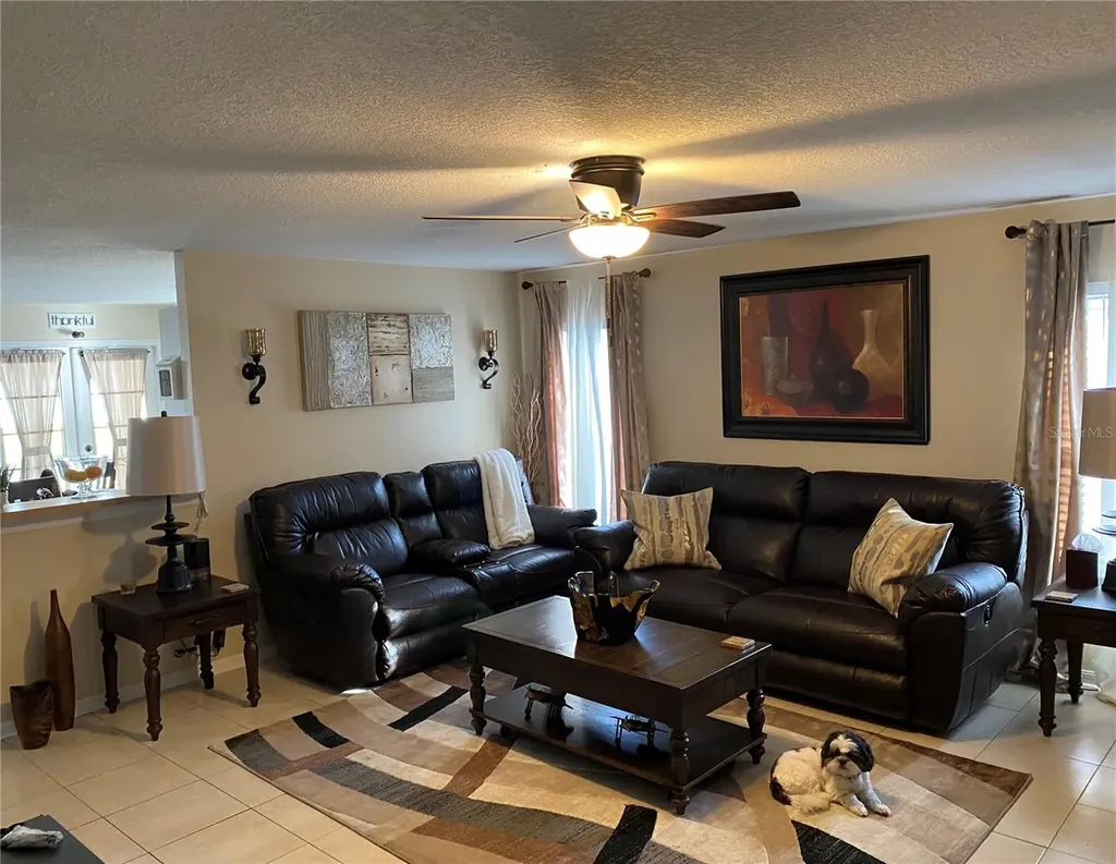 10328 Summerview Circle Riverview FL 33578