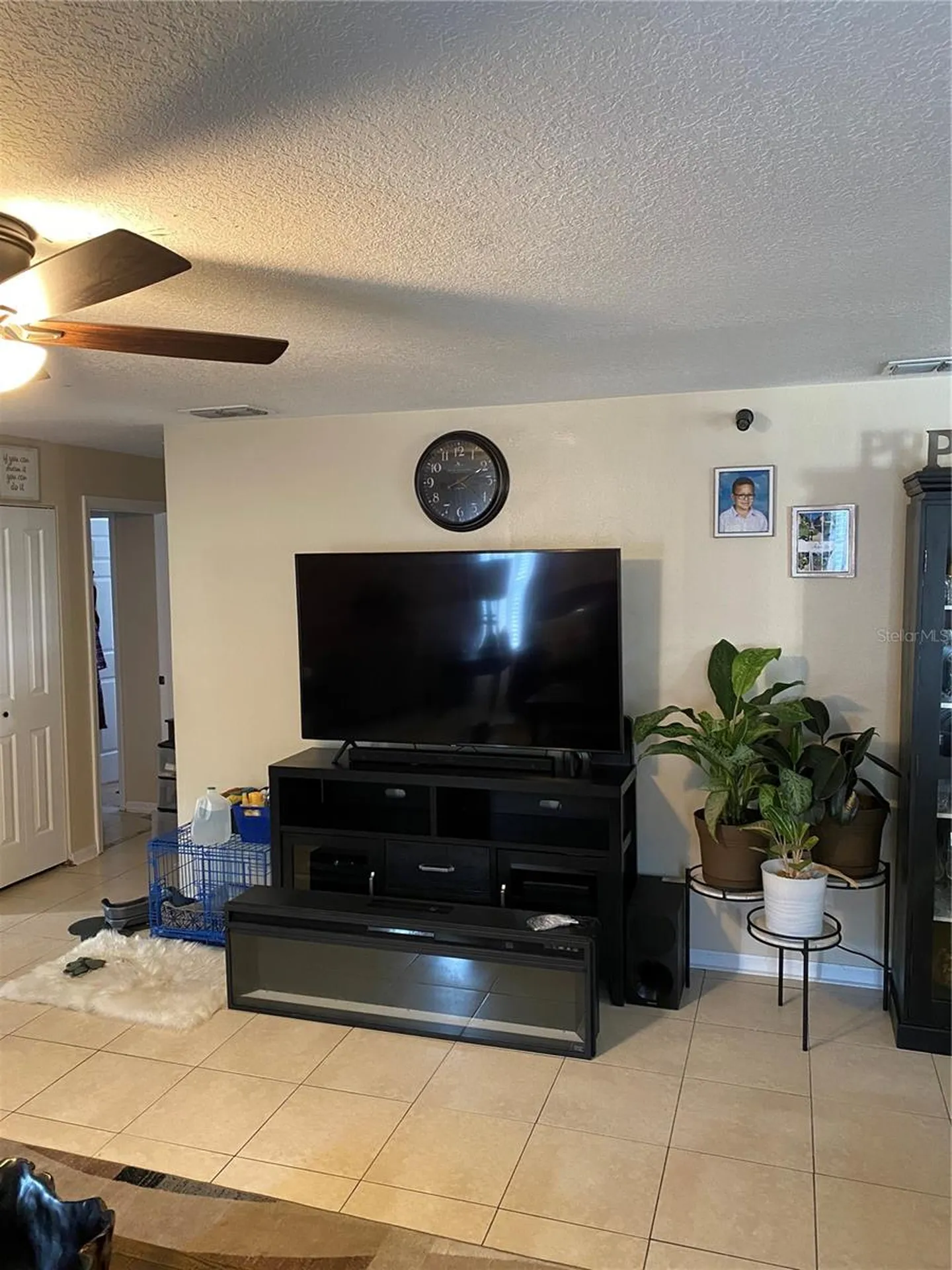10328 Summerview Circle Riverview FL 33578