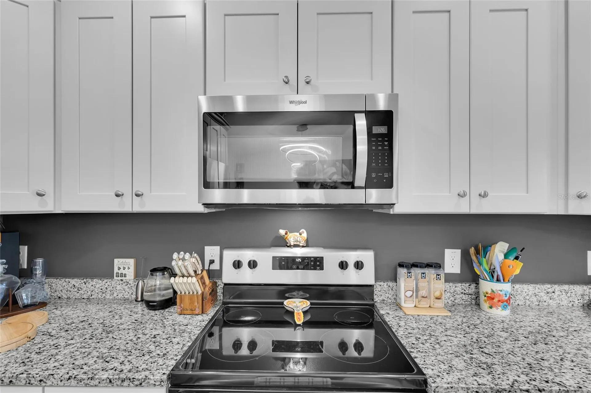20 Malauka Circle Ocklawaha FL 32179