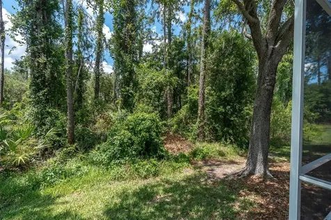 3312 Chapel Creek Circle Wesley Chapel FL 33544