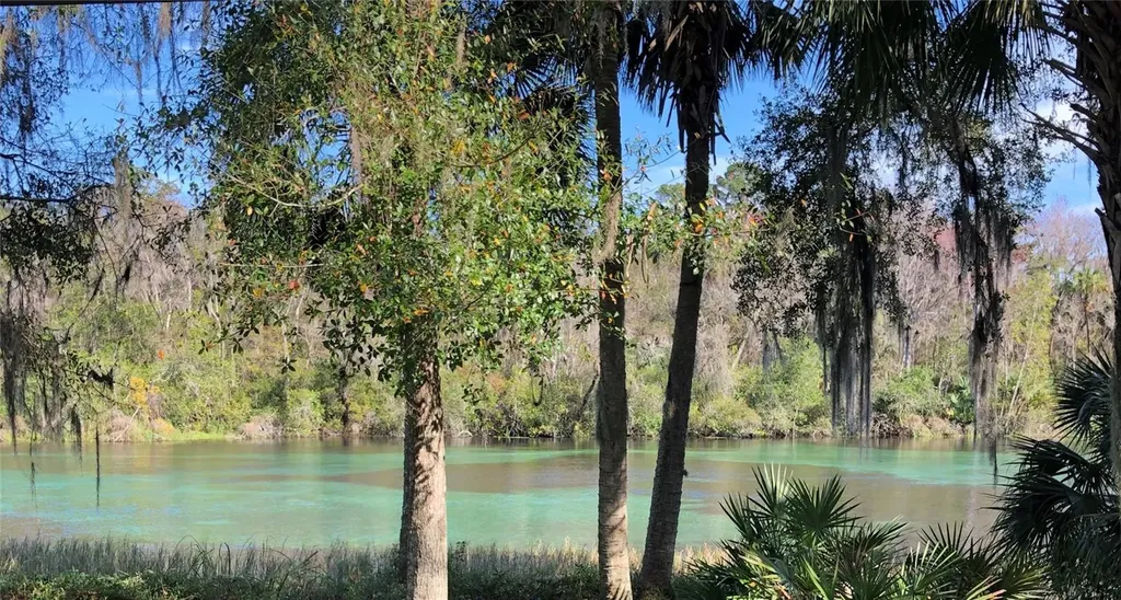 20707 Walnut Street Dunnellon FL 34431