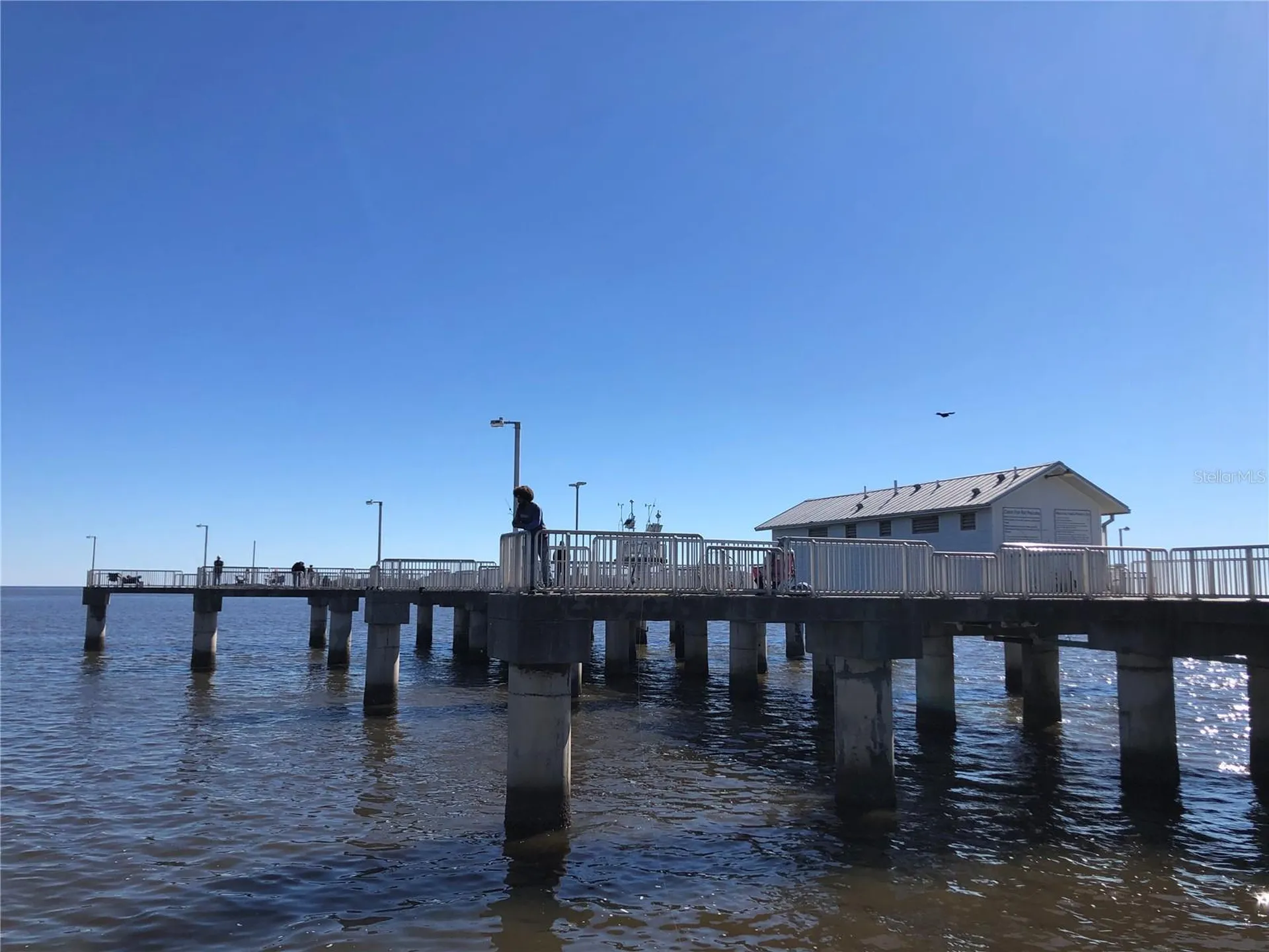 20707 Walnut Street Dunnellon FL 34431