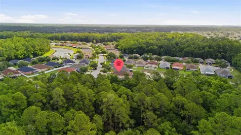 25114 Lexington Oaks Boulevard Wesley Chapel FL 33544