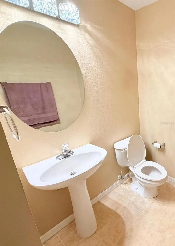32111 Brookstone Drive Wesley Chapel FL 33545