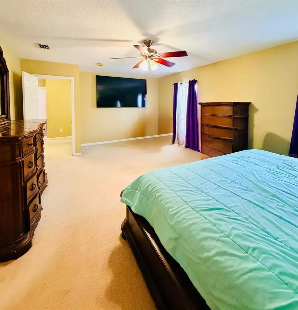 32111 Brookstone Drive Wesley Chapel FL 33545