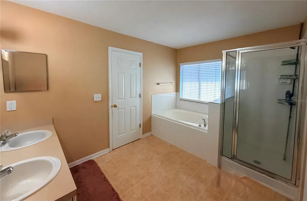 32111 Brookstone Drive Wesley Chapel FL 33545
