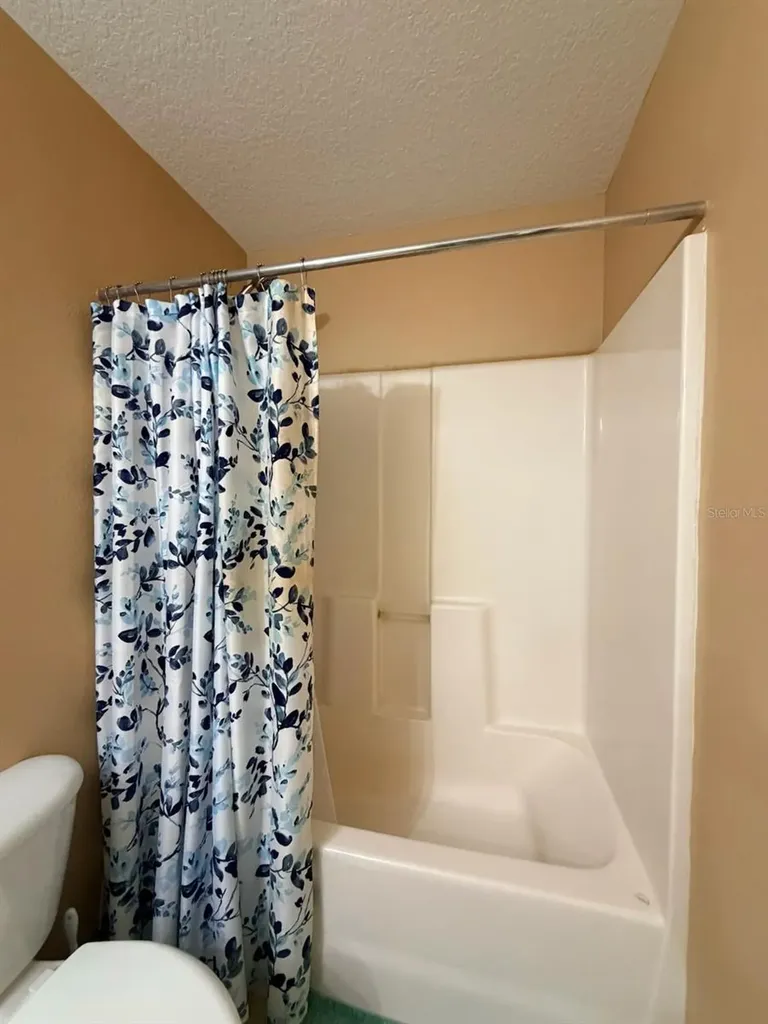 32111 Brookstone Drive Wesley Chapel FL 33545