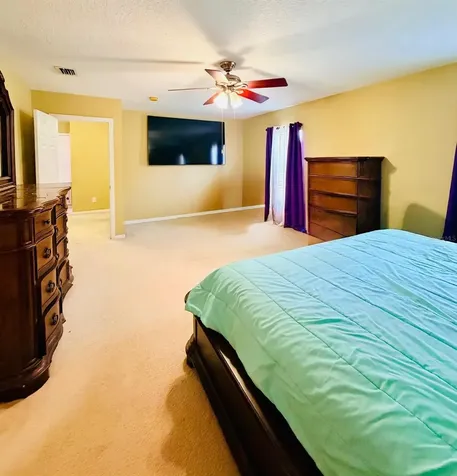 32111 Brookstone Drive Wesley Chapel FL 33545