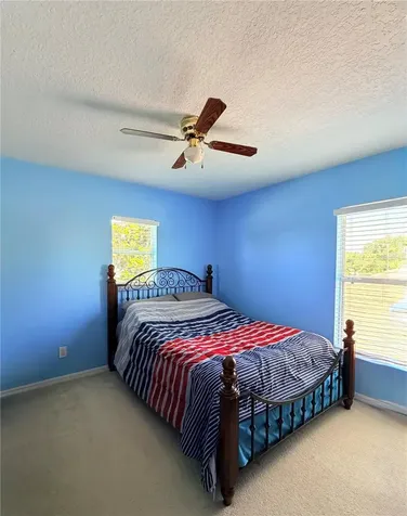 32111 Brookstone Drive Wesley Chapel FL 33545