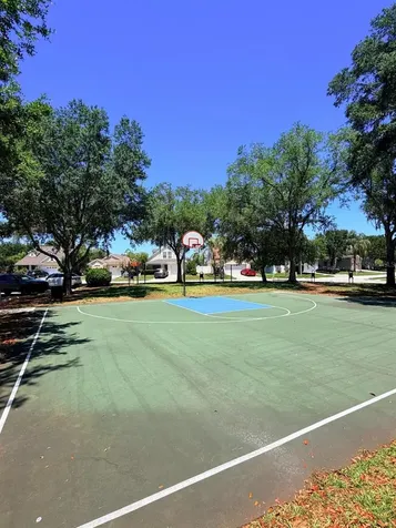 32111 Brookstone Drive Wesley Chapel FL 33545
