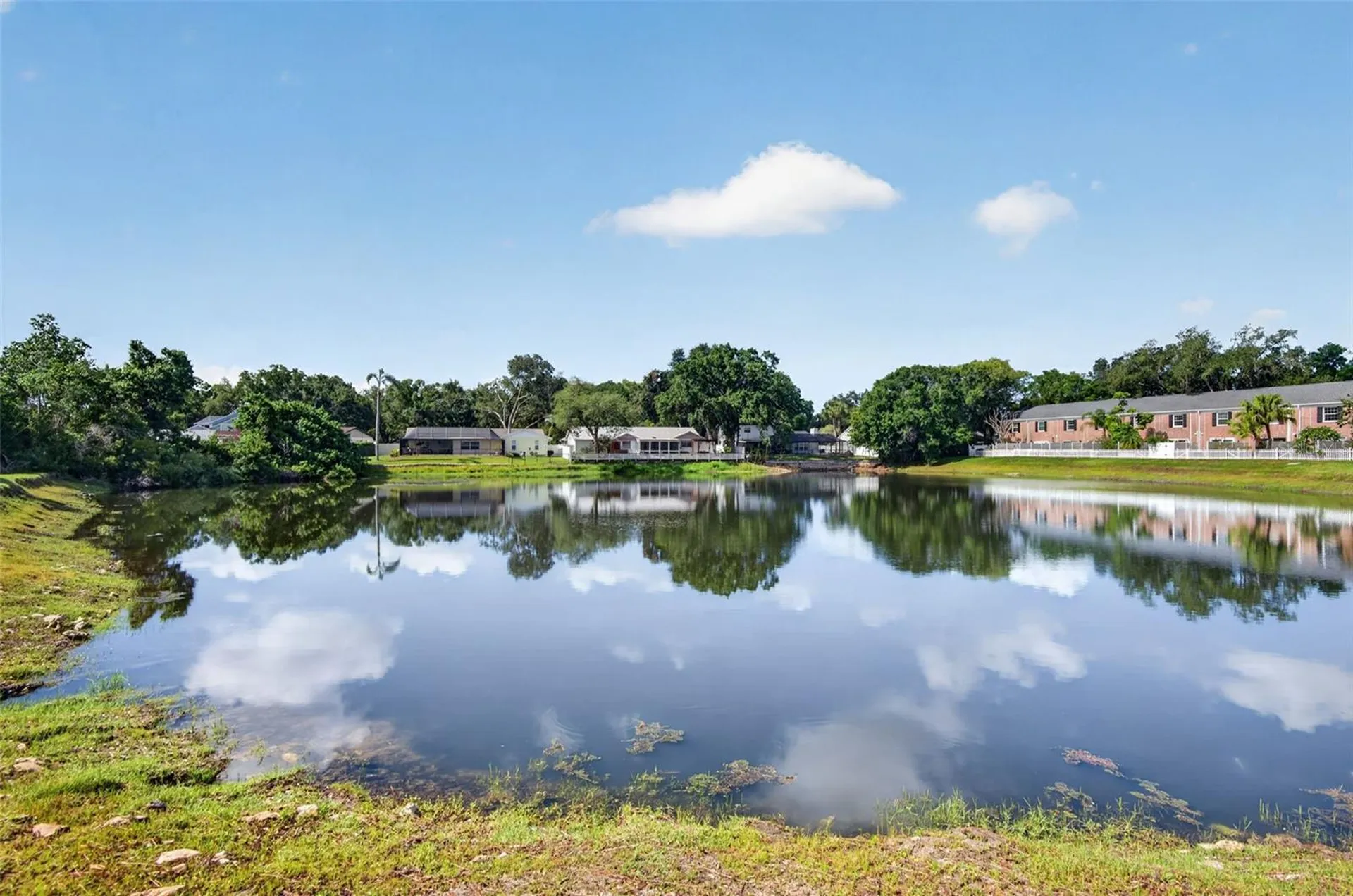 2521 Cedar Cypress Court Tampa FL 33618