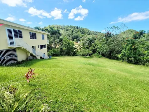 8C Clavel Street Dorado PR 00646
