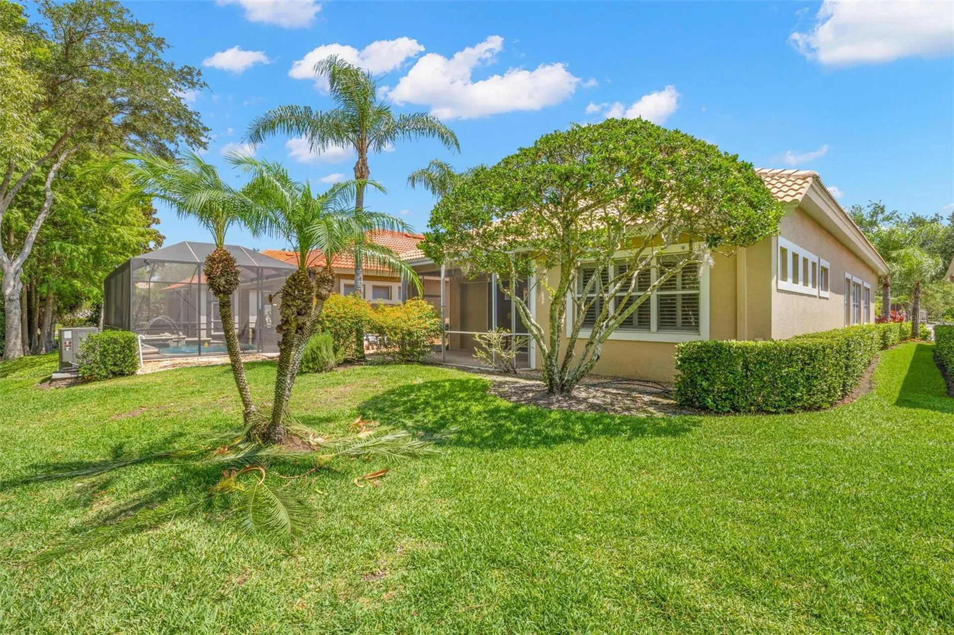 14644 Mirasol Manor Court Tampa FL 33626