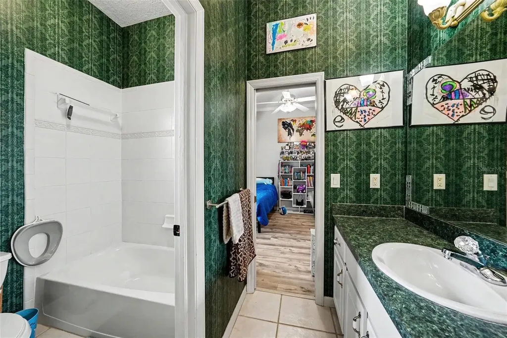 2528 Centennial Falcon Drive Valrico FL 33596