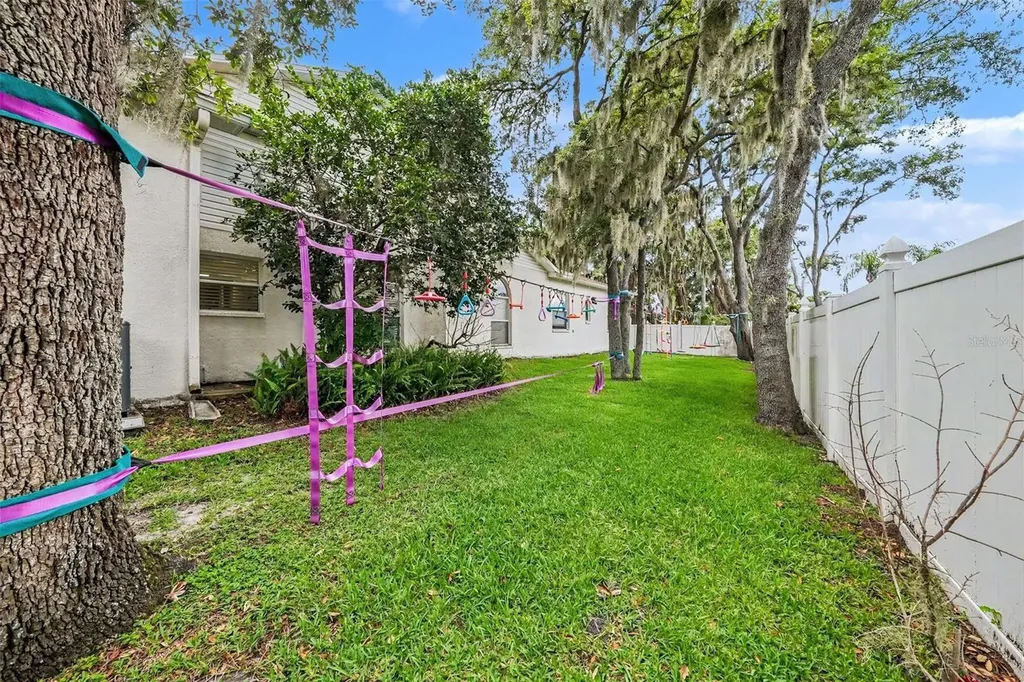 2528 Centennial Falcon Drive Valrico FL 33596