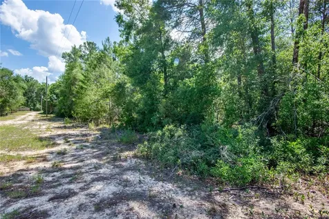 26721 Chippewa Trail Brooksville FL 34601