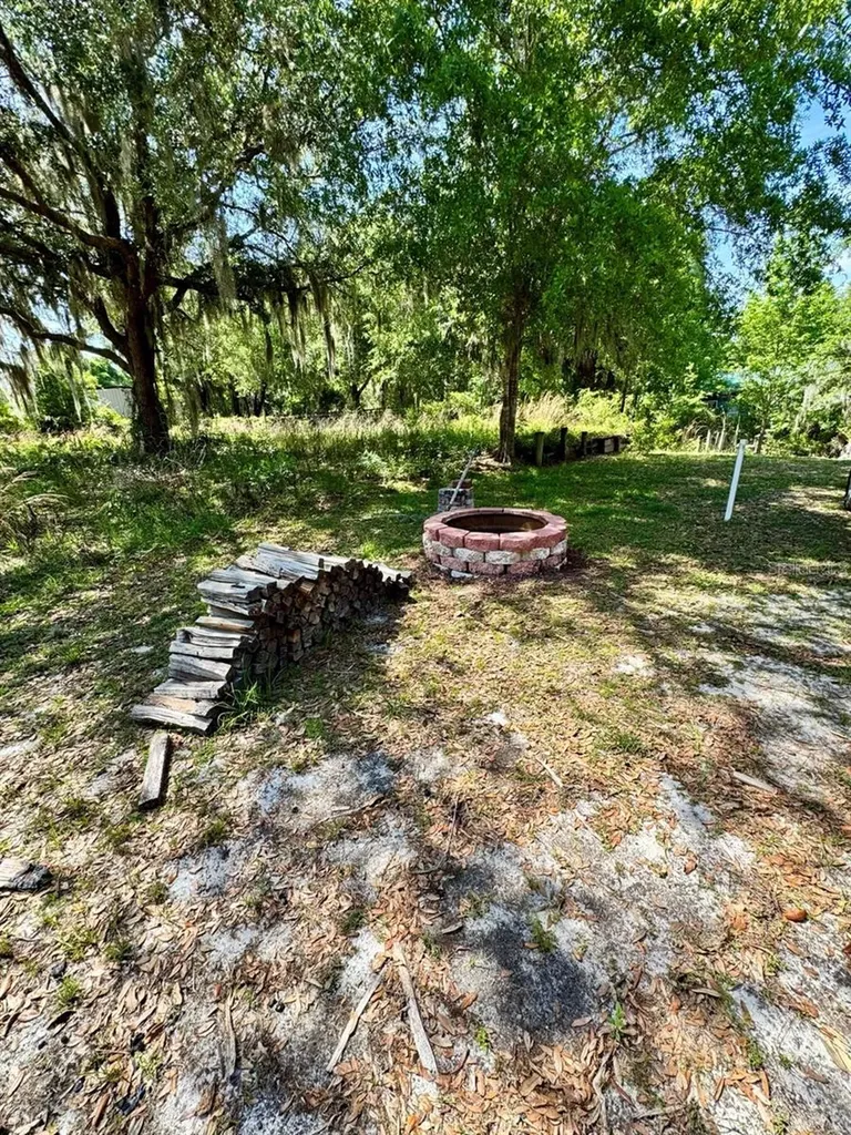 30391 NE 97th Place Salt Springs FL 32134