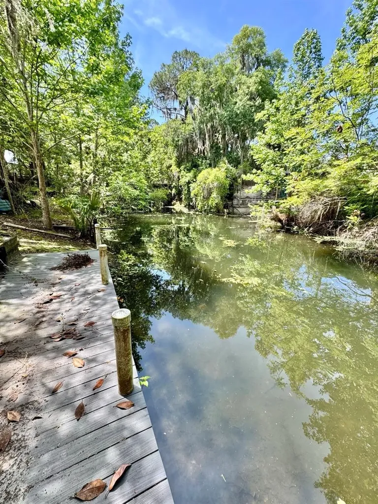 30391 NE 97th Place Salt Springs FL 32134