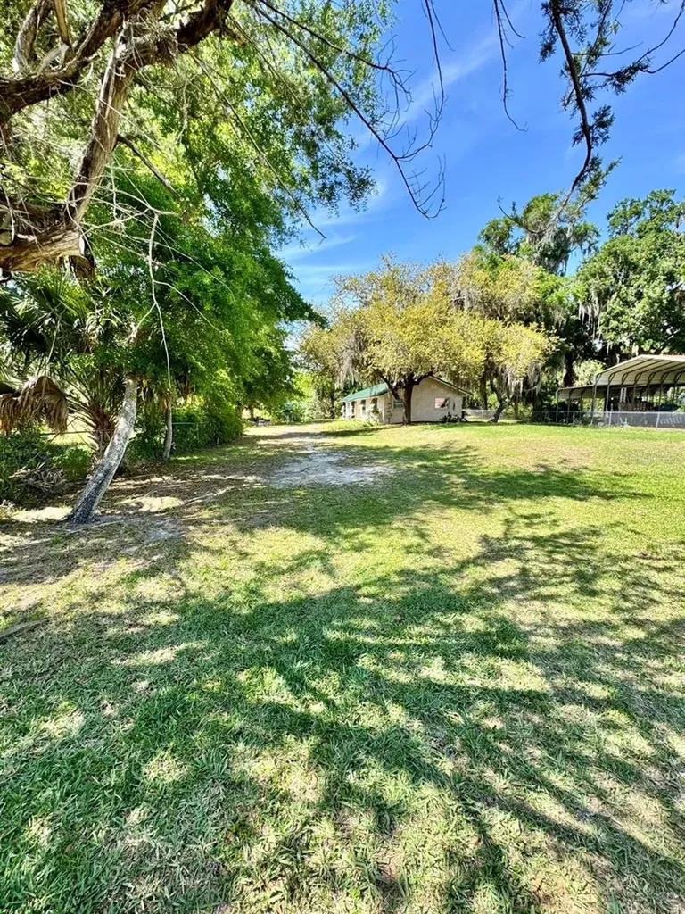 30391 NE 97th Place Salt Springs FL 32134