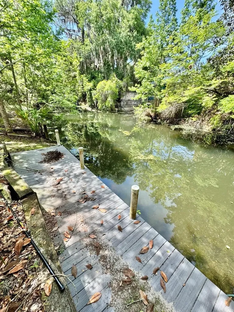 30391 NE 97th Place Salt Springs FL 32134