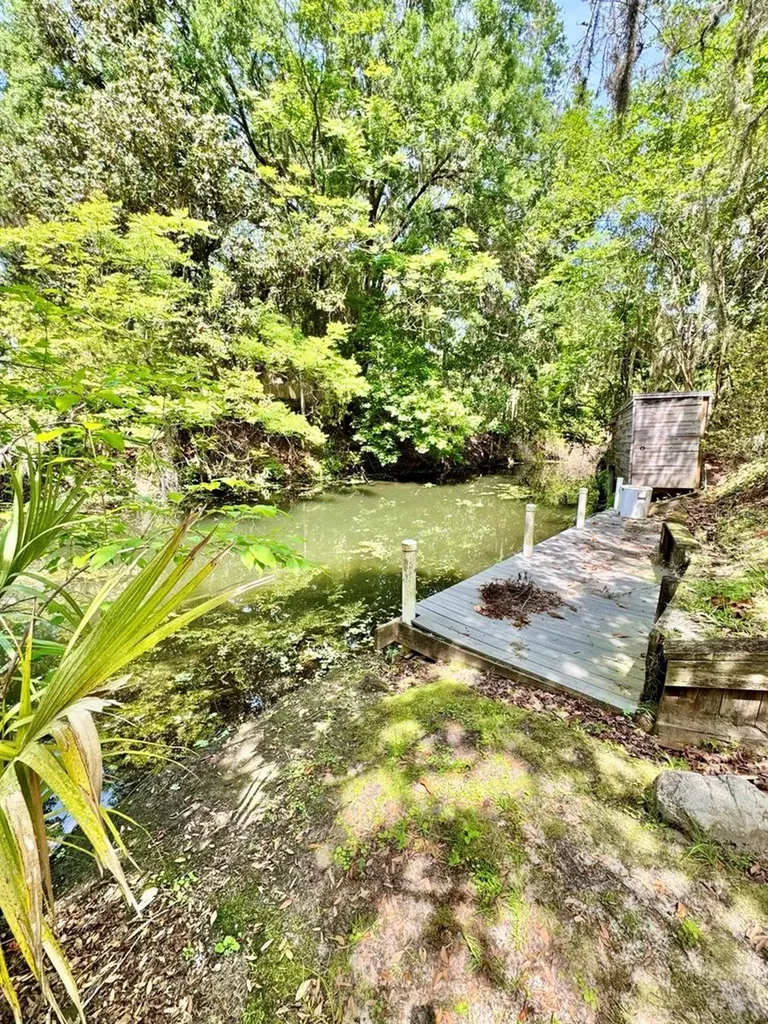 30391 NE 97th Place Salt Springs FL 32134