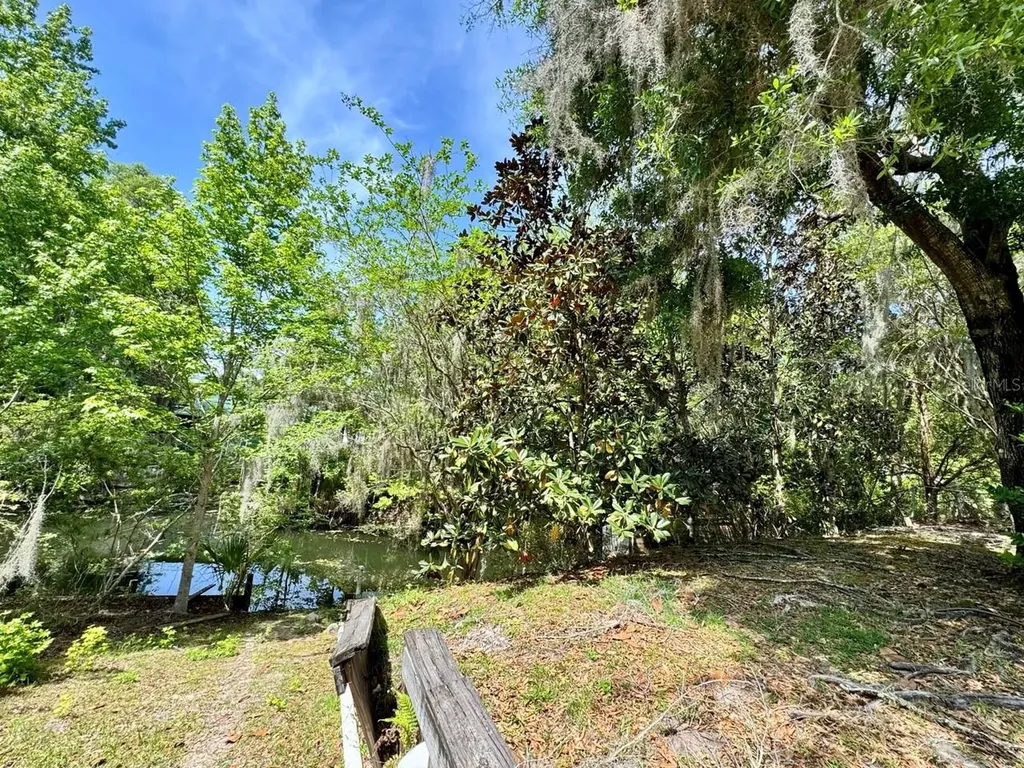 30391 NE 97th Place Salt Springs FL 32134