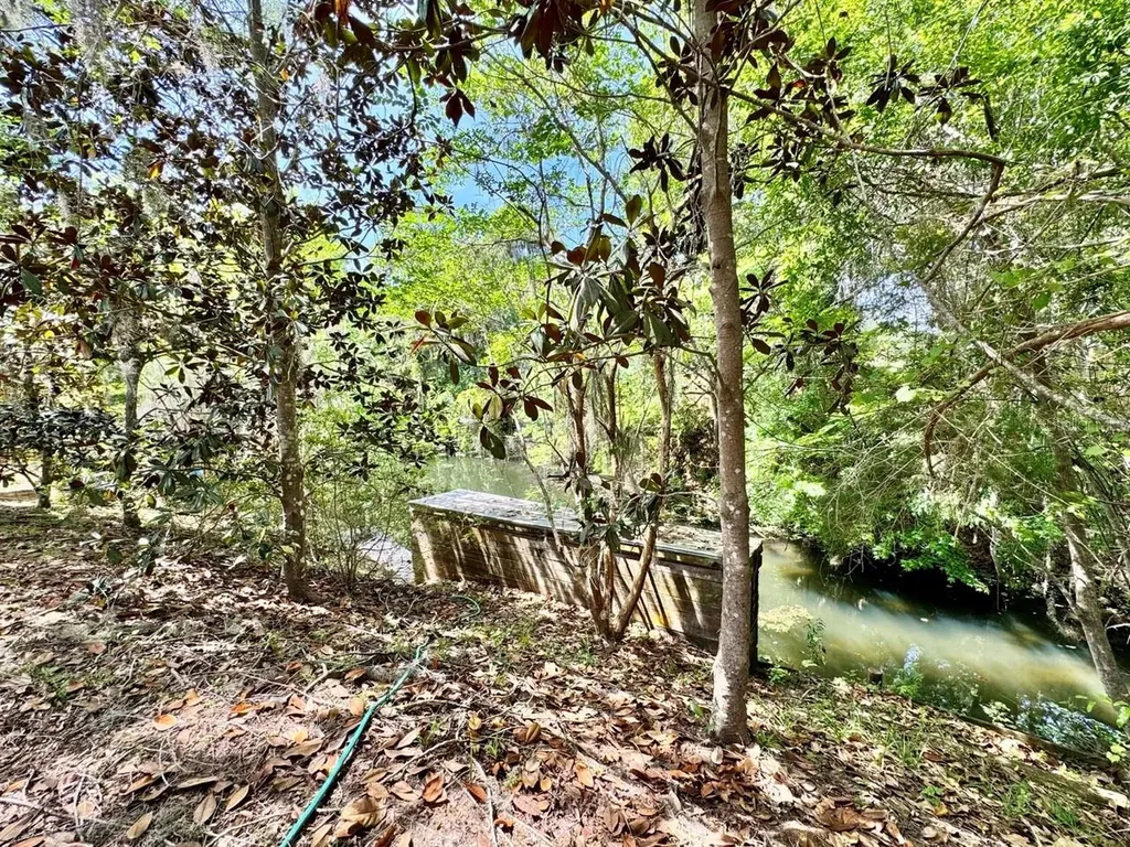 30391 NE 97th Place Salt Springs FL 32134