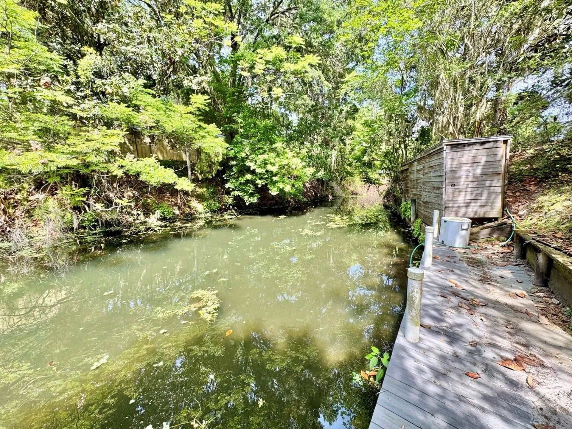 30391 NE 97th Place Salt Springs FL 32134