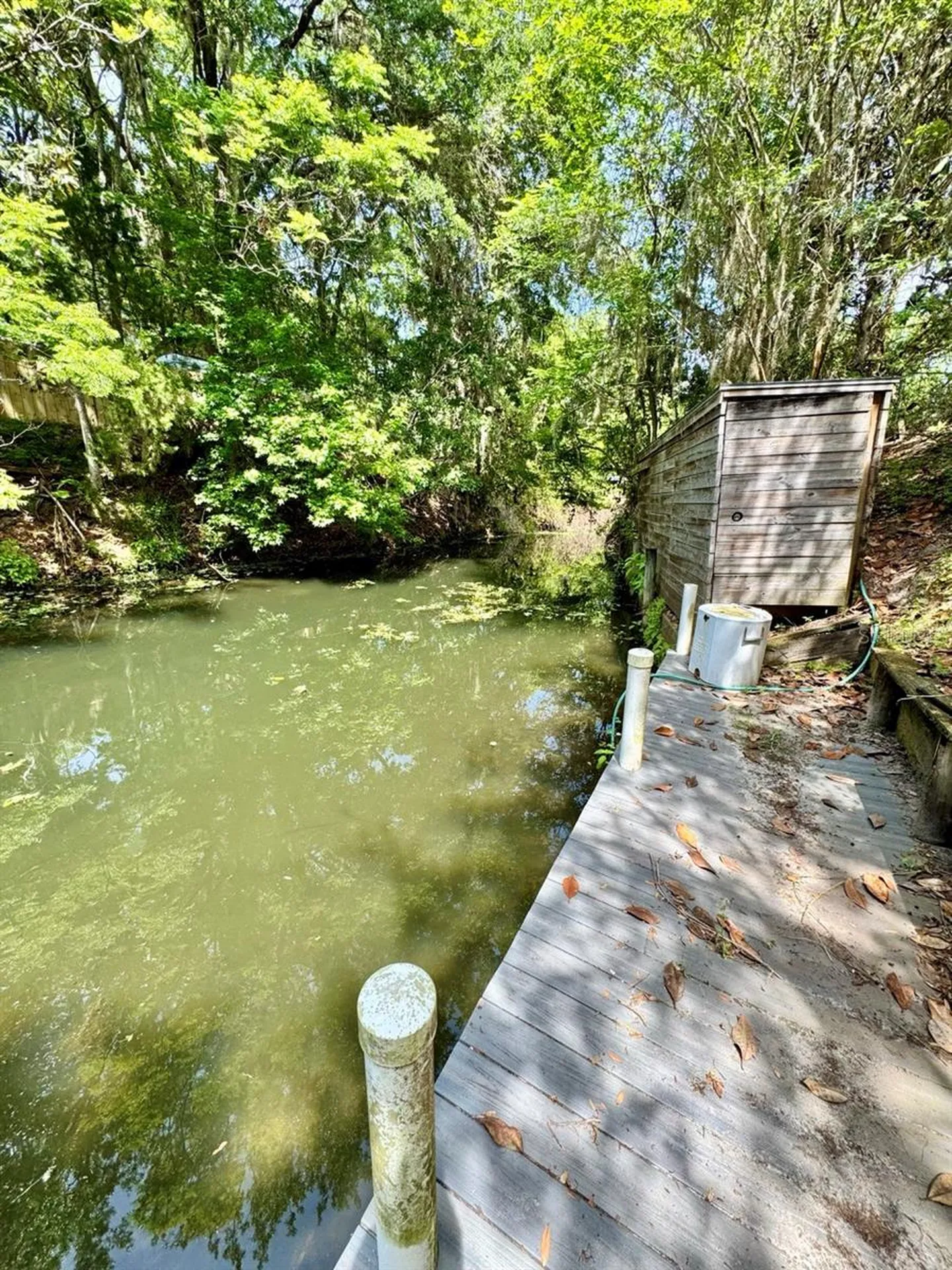 30391 NE 97th Place Salt Springs FL 32134