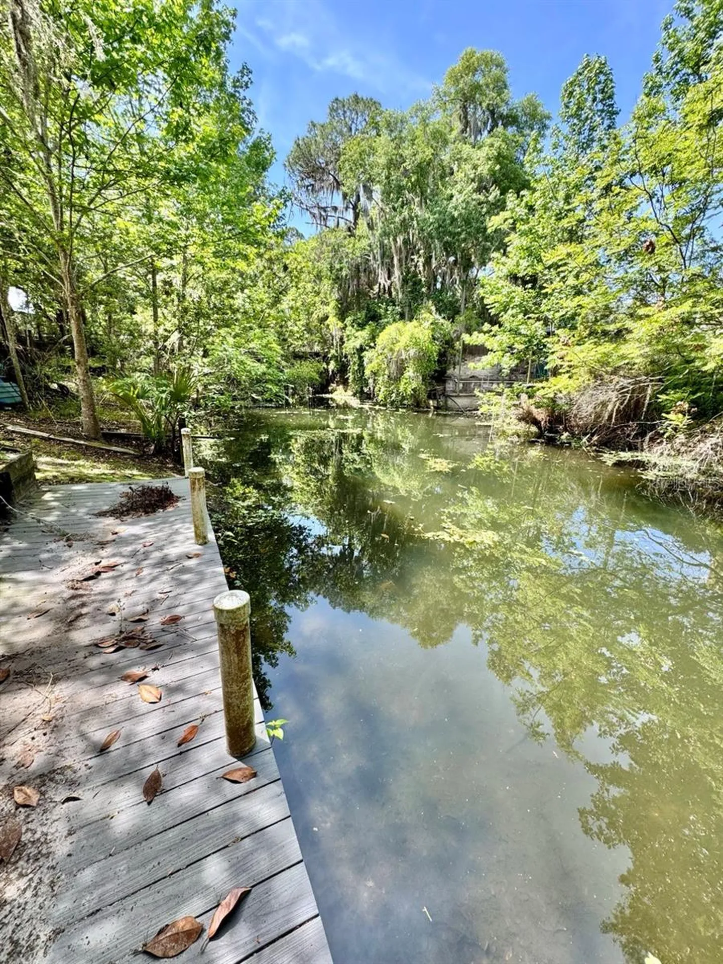 30391 NE 97th Place Salt Springs FL 32134