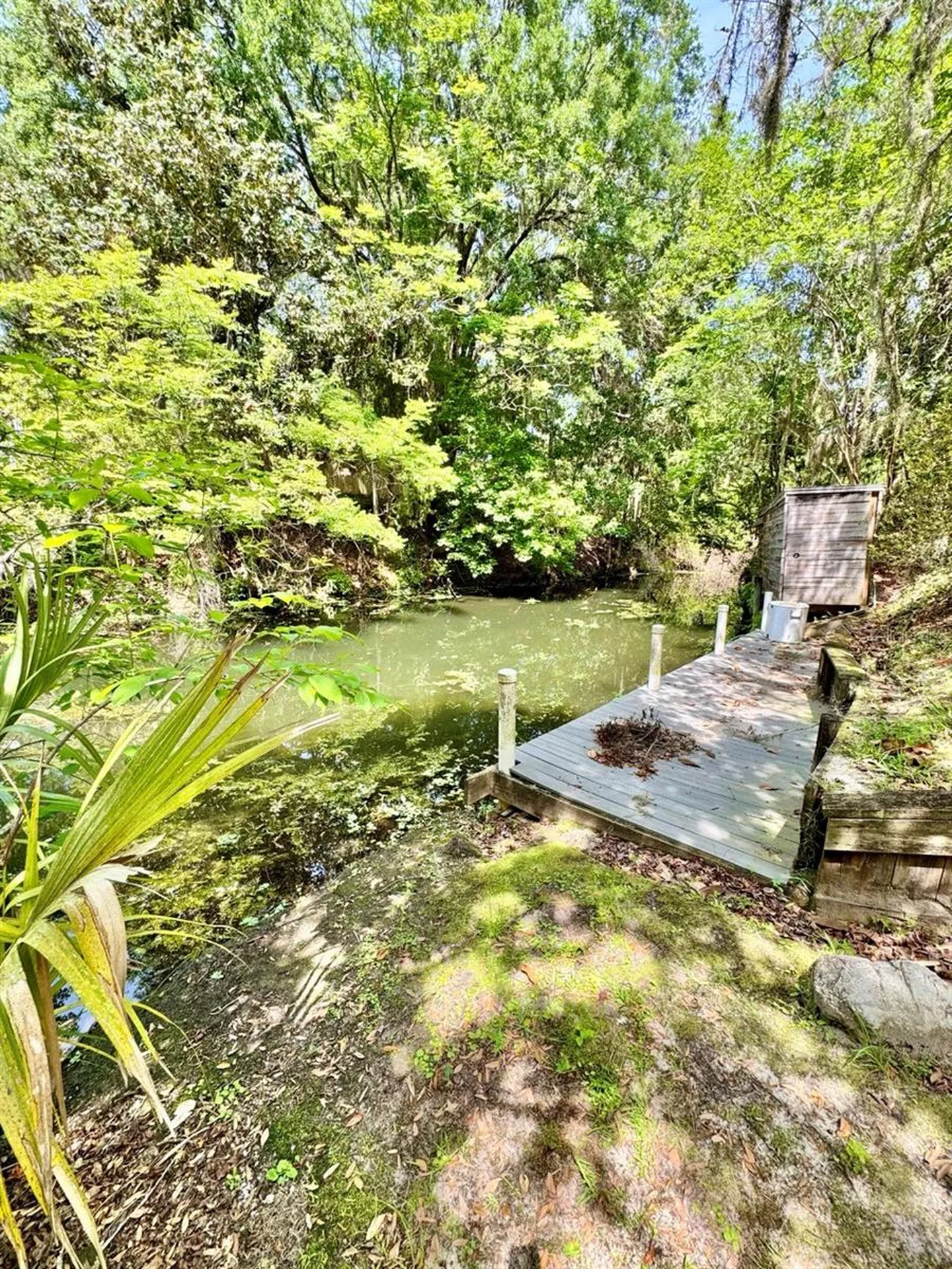30391 NE 97th Place Salt Springs FL 32134