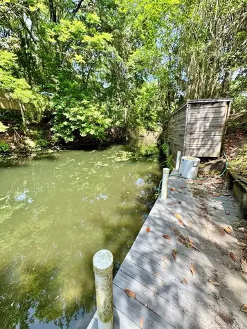 30391 NE 97th Place Salt Springs FL 32134