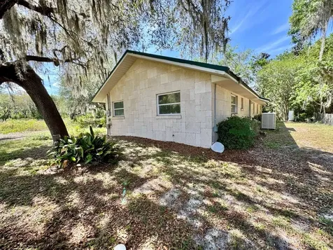 30391 NE 97th Place Salt Springs FL 32134