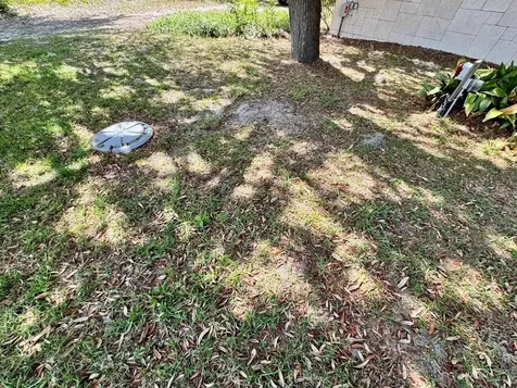 30391 NE 97th Place Salt Springs FL 32134