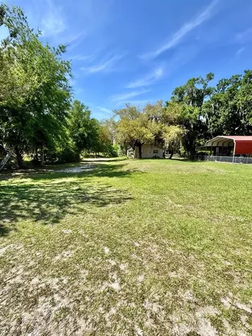 30391 NE 97th Place Salt Springs FL 32134