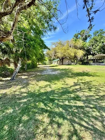 30391 NE 97th Place Salt Springs FL 32134