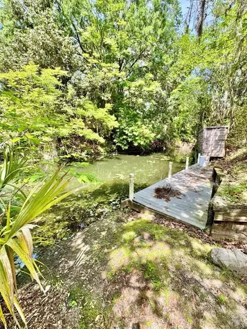 30391 NE 97th Place Salt Springs FL 32134