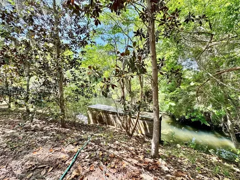 30391 NE 97th Place Salt Springs FL 32134