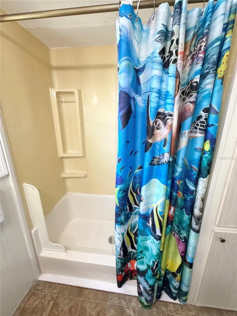 425 Mount Piney Avenue NE St Petersburg FL 33702