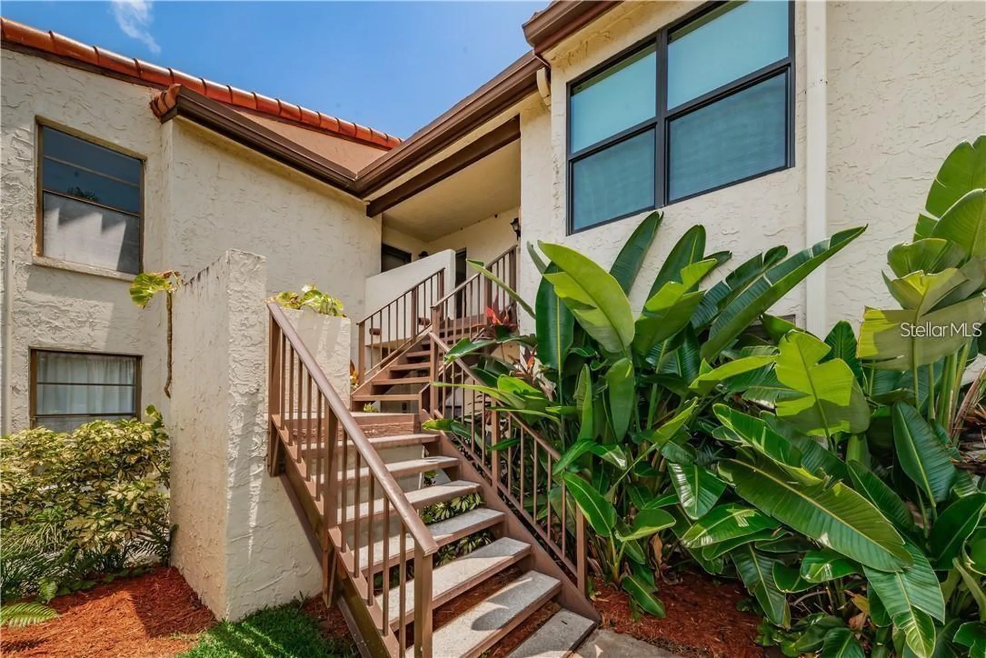 2595 Cyprus Drive Palm Harbor FL 34684