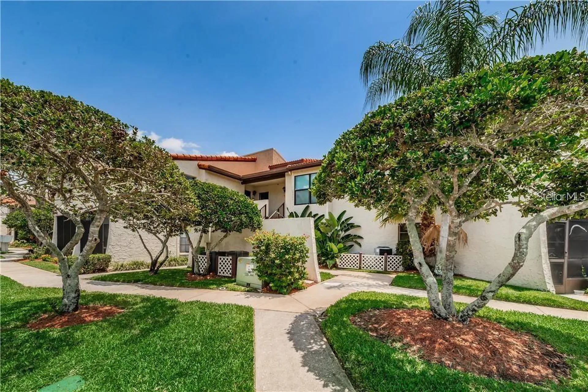 2595 Cyprus Drive Palm Harbor FL 34684