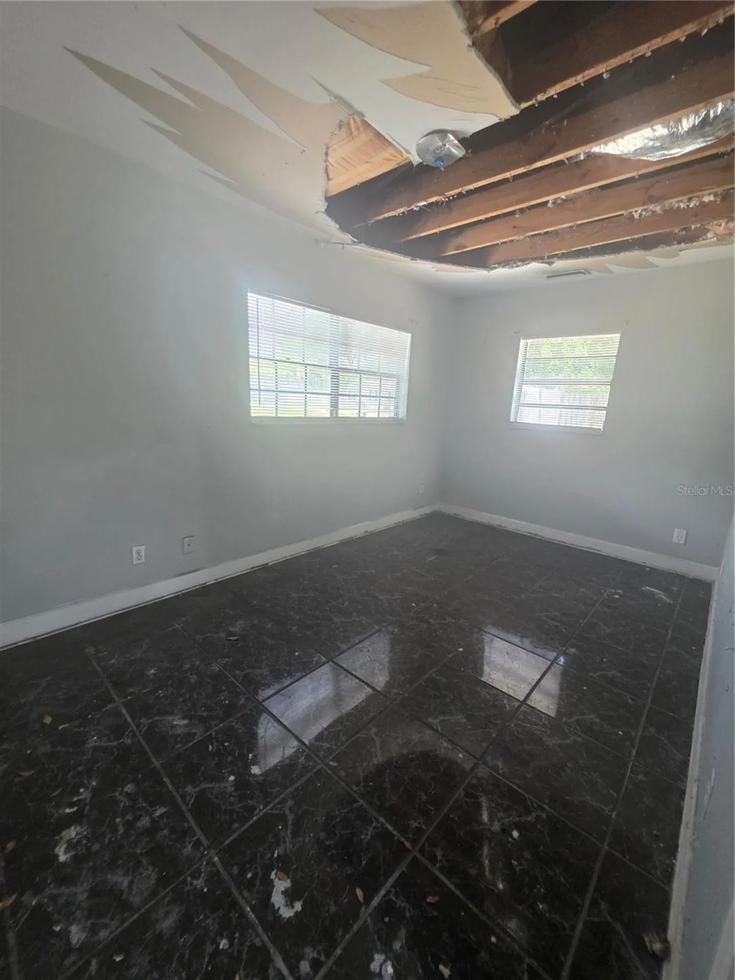 12521 Pittsfield Avenue Tampa FL 33624