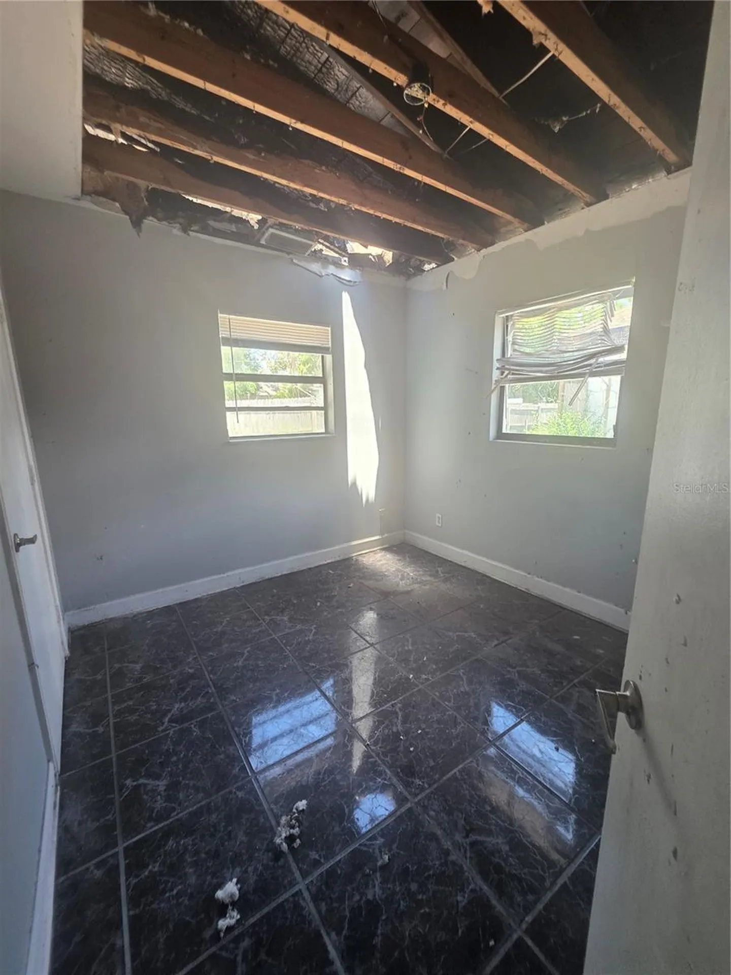 12521 Pittsfield Avenue Tampa FL 33624